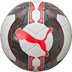 Picture of Trainer Ball
