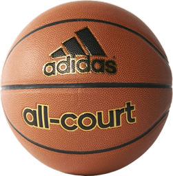 Picture of All-Court Basketball